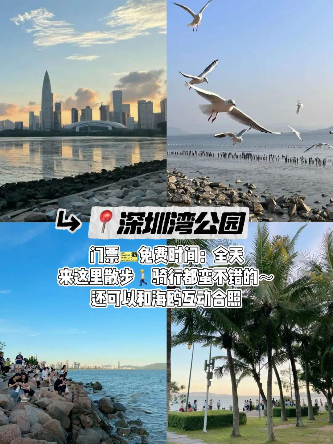 深圳📍citywalk旅游｜两天一夜打卡经典路线