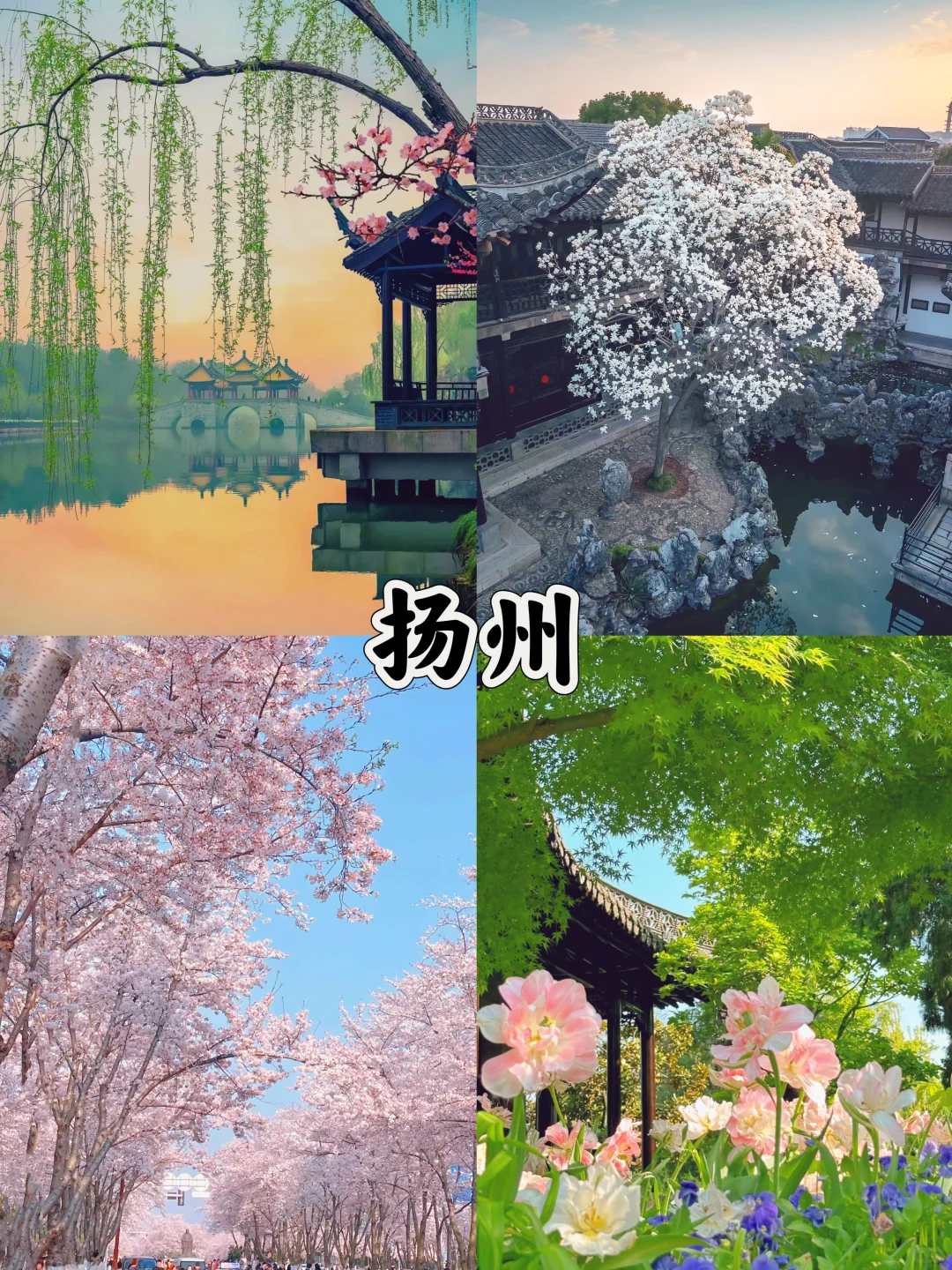 3-4月去哪玩？适合春天的10个旅游地🌸