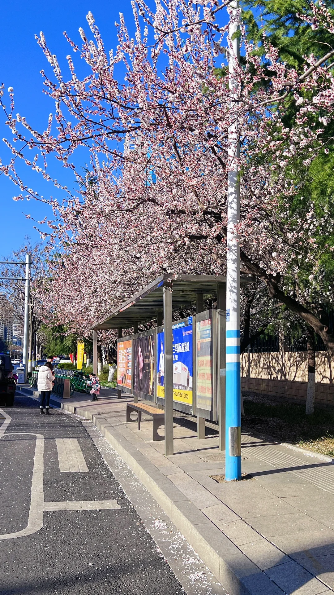 为了这18张图,我飞了趟山东临沂❗️❗️附机位