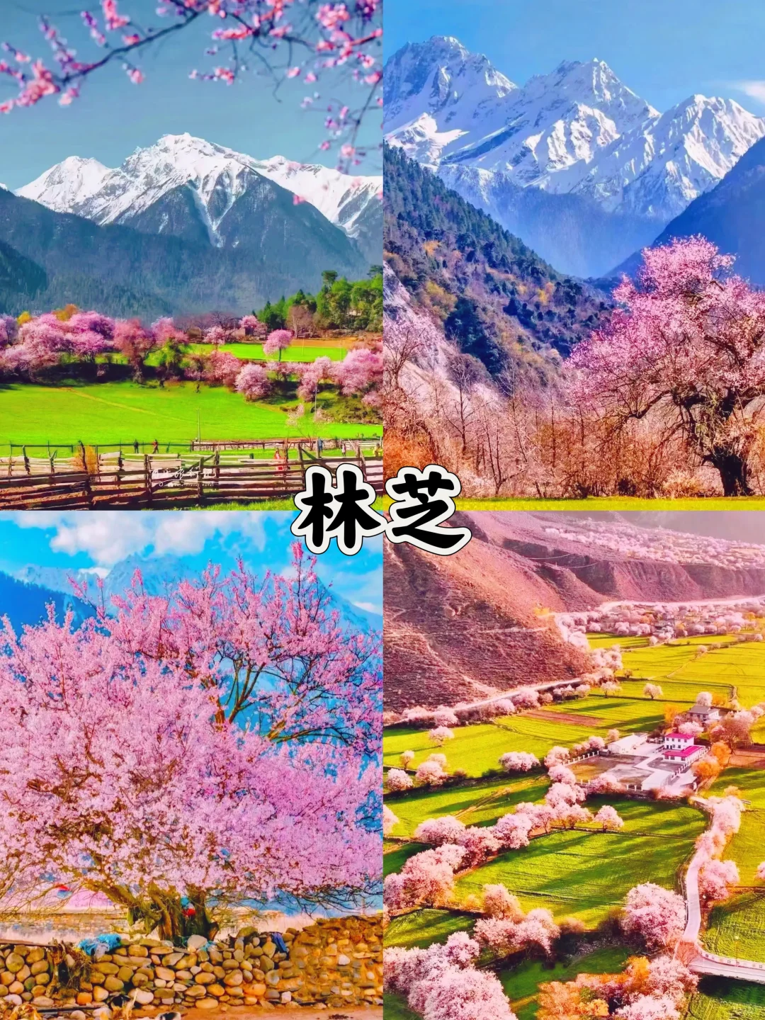 3-4月去哪玩？适合春天的10个旅游地🌸