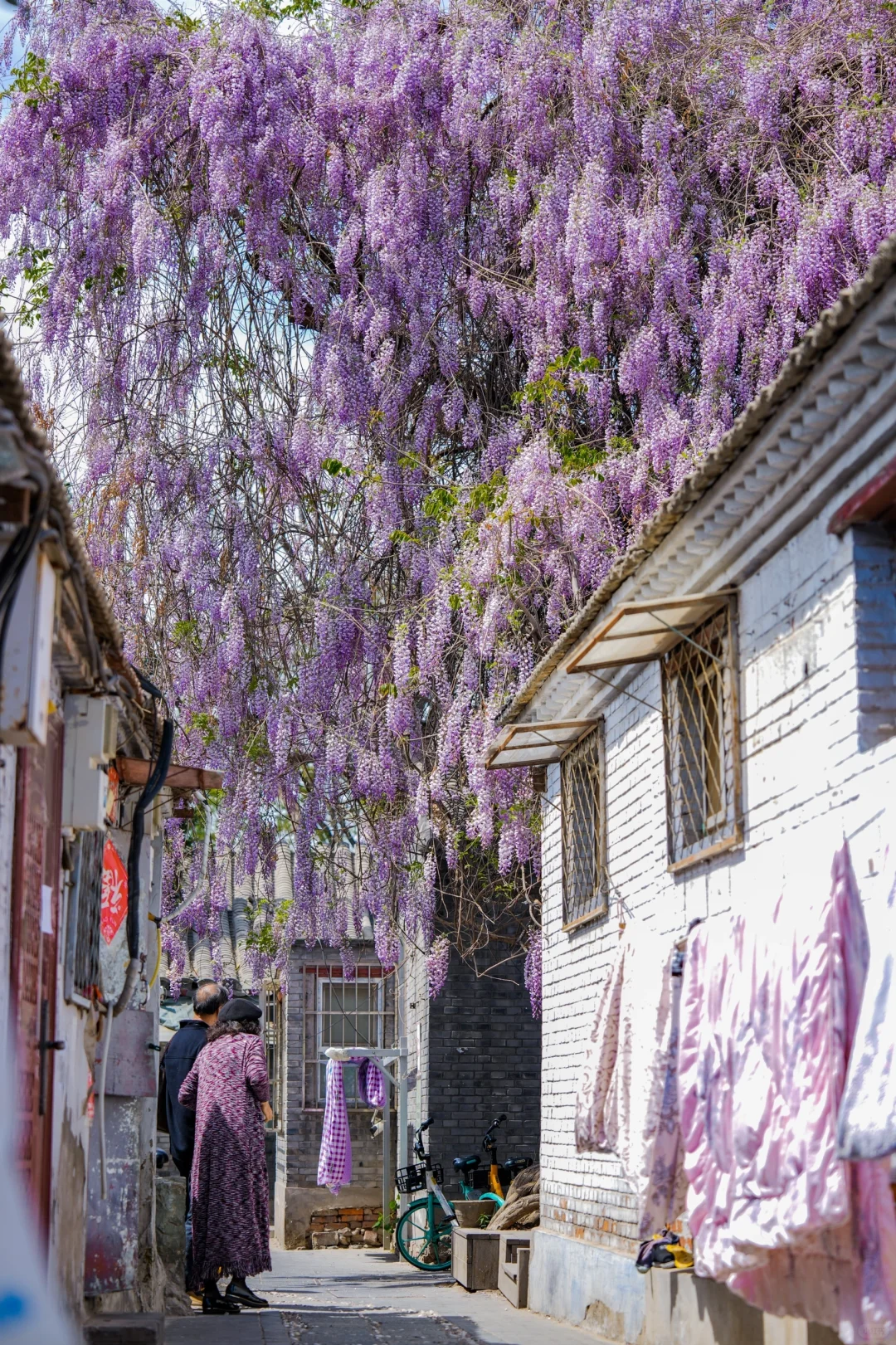 接下来的北京,比想象中还要美!