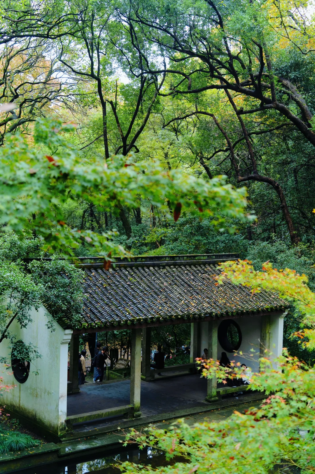 我在杭州上春山‼️推荐这条春日旅行路线🌿