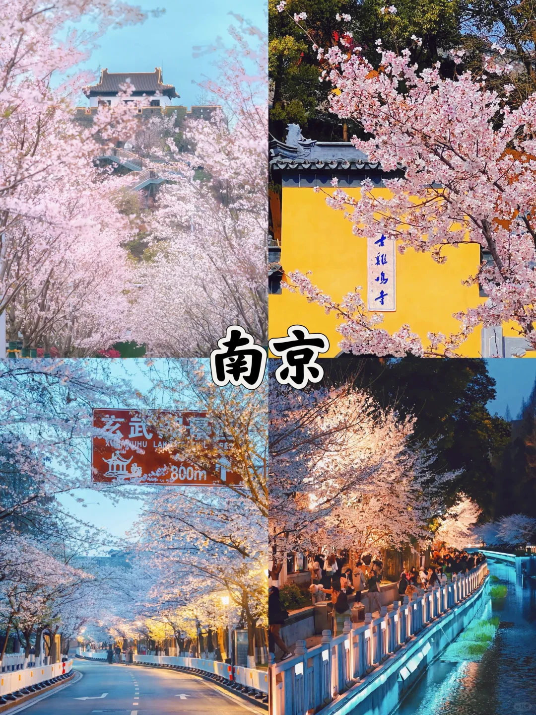 3-4月去哪玩？适合春天的10个旅游地🌸
