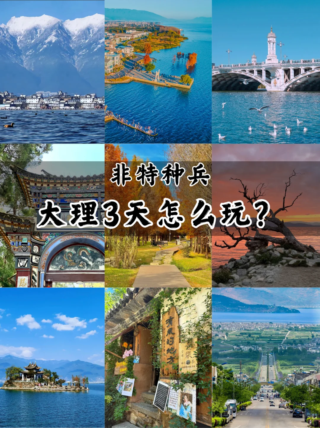 大理旅游攻略🔥3天2晚怎么玩?