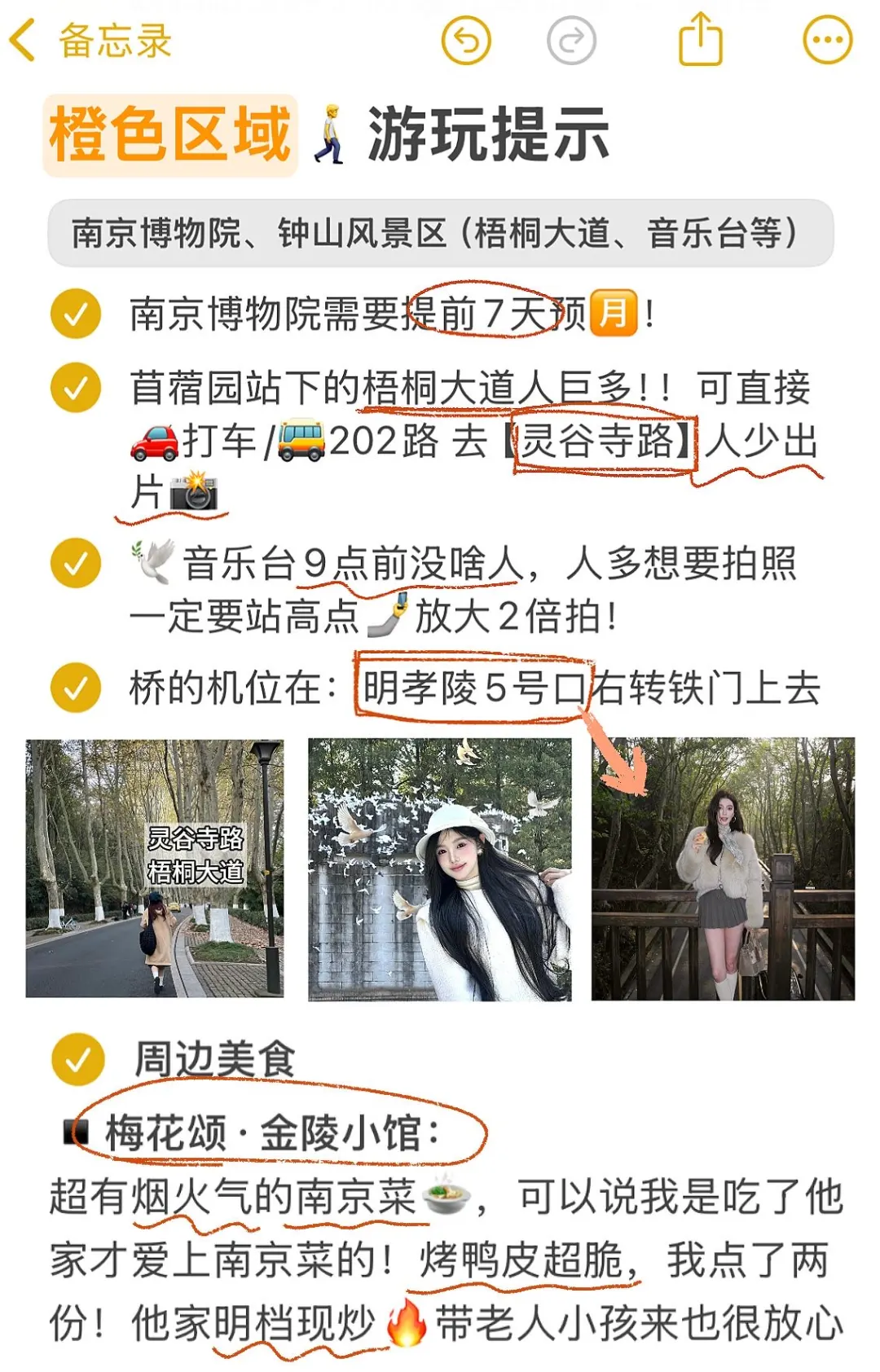 南京旅游超全指南✌️本地人总结