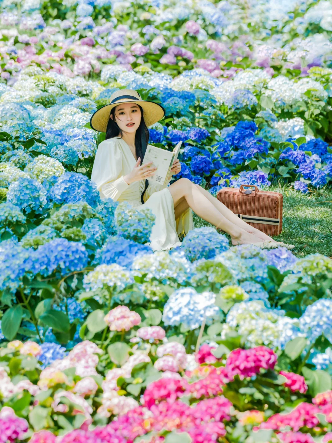 接下来的北京,比想象中还要美!