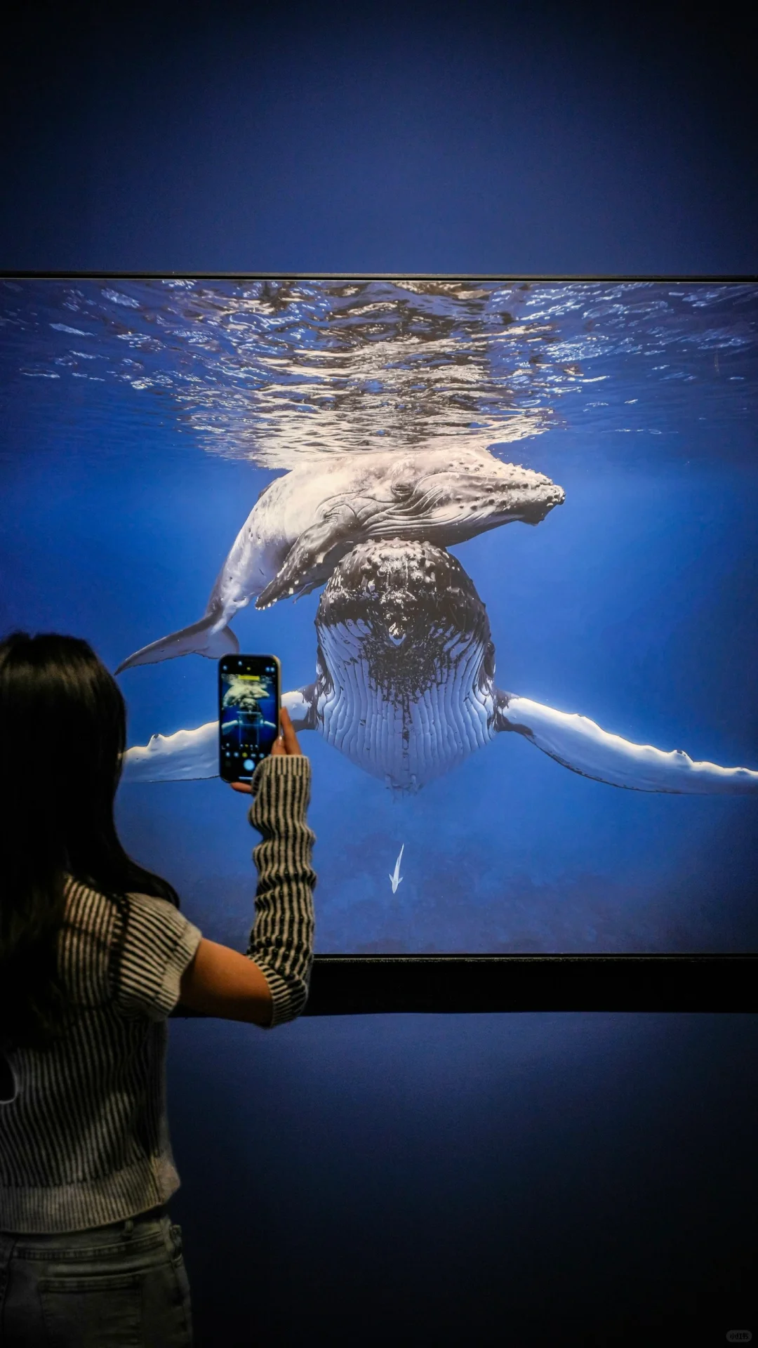 为了这18张图,我飞了趟山东临沂❗️❗️附机位