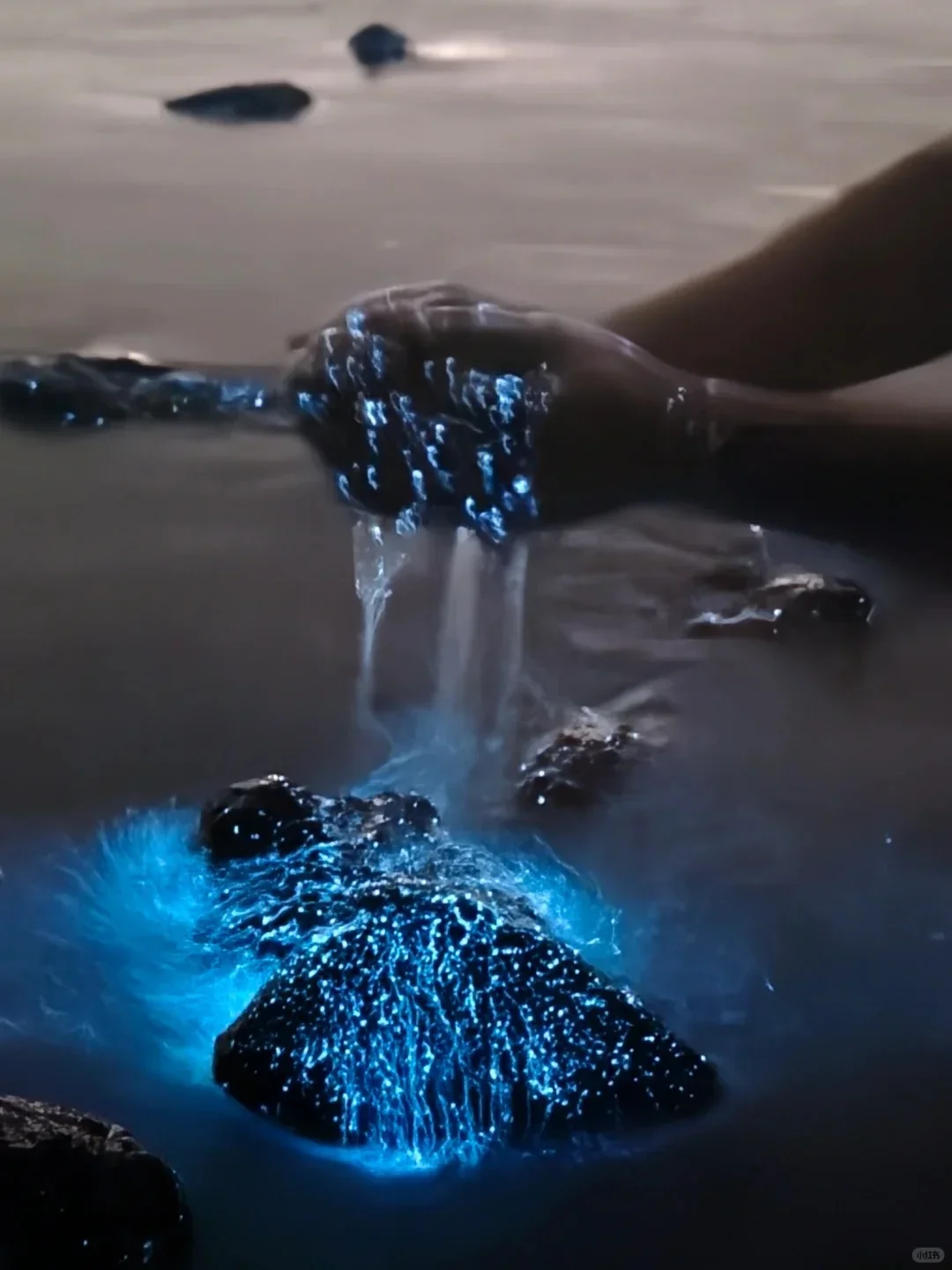 想追蓝眼泪💧的朋友，千万不要放过涠洲岛