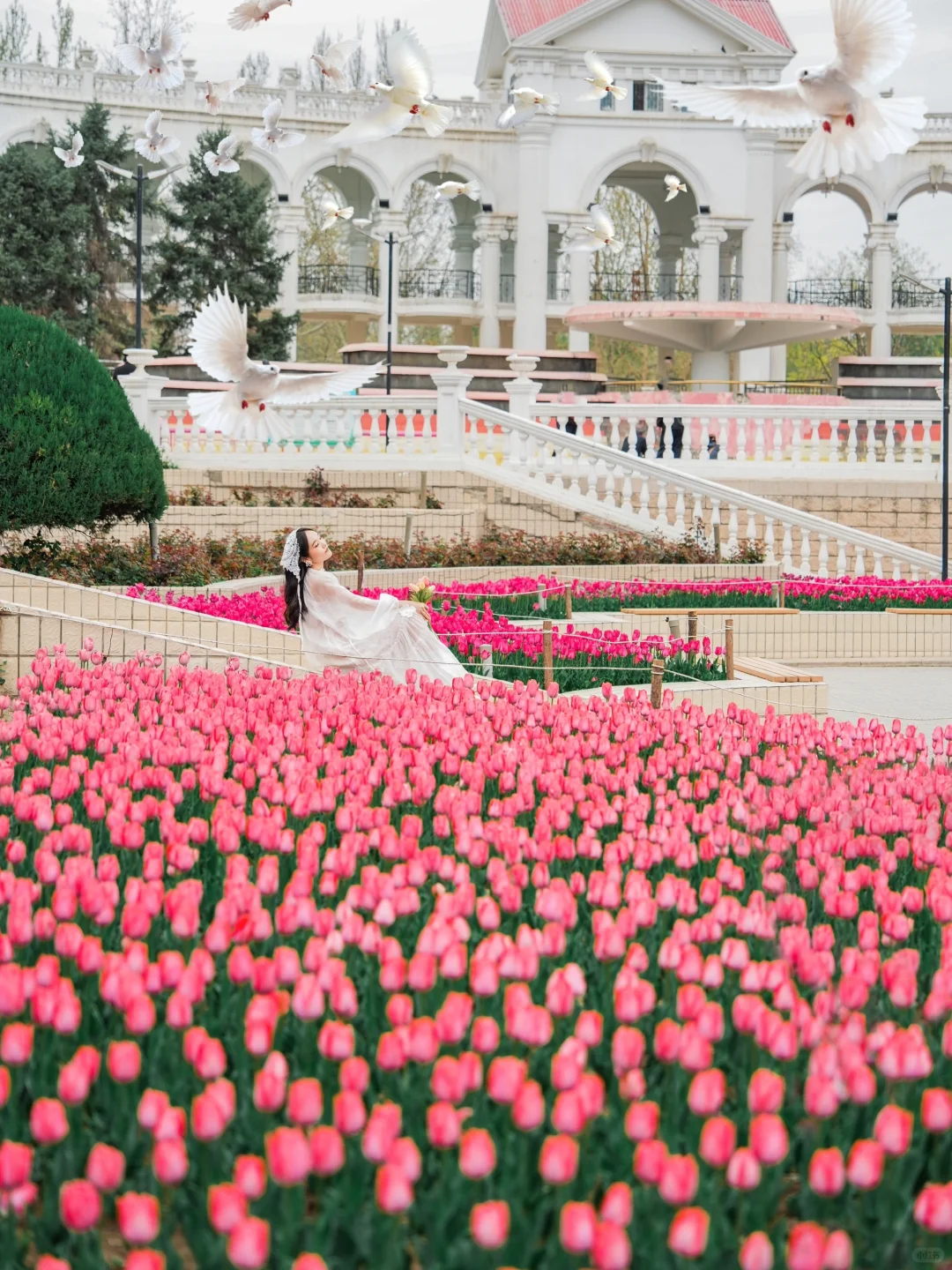 接下来的北京,比想象中还要美!