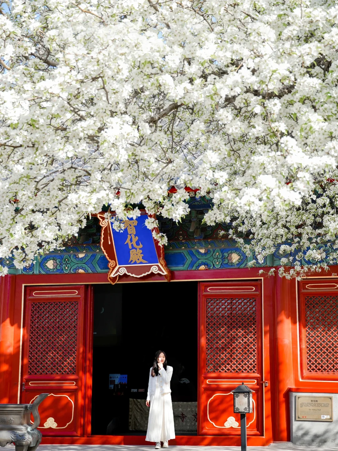 接下来的北京,比想象中还要美!