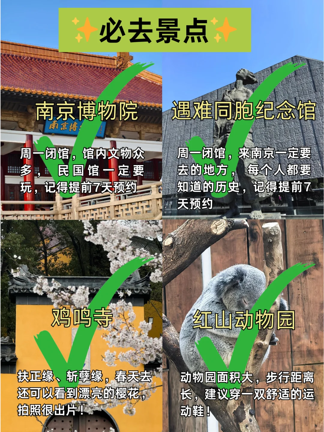 📍3月淡季南京已回。。😭我都崩溃了