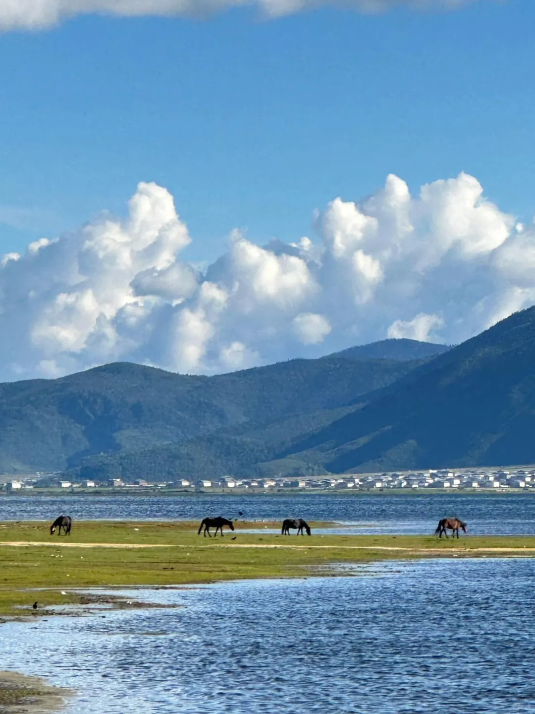 📍香格里拉｜一个缺氧但不缺信仰的地方