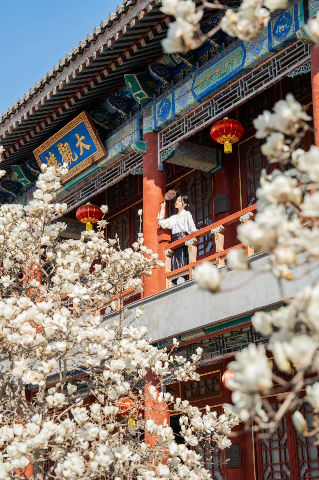 接下来的北京,比想象中还要美!