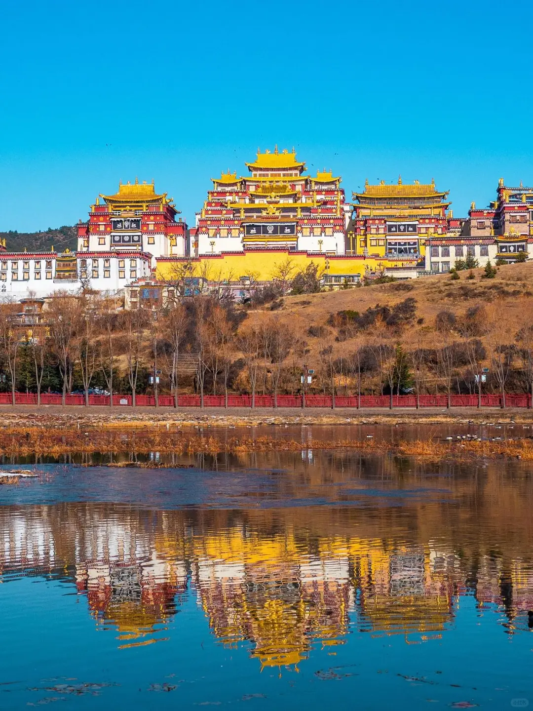 📍香格里拉｜一个缺氧但不缺信仰的地方