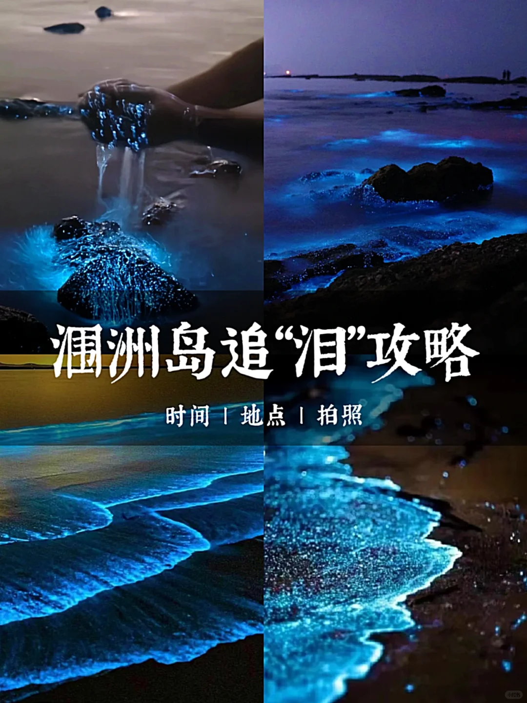 想追蓝眼泪💧的朋友，千万不要放过涠洲岛