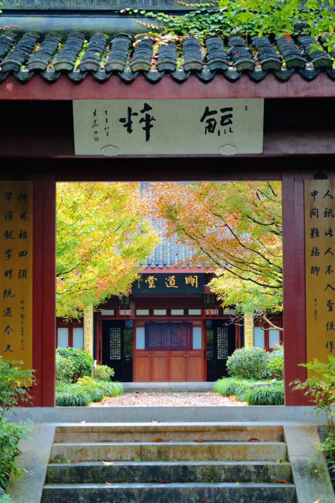 我在杭州上春山‼️推荐这条春日旅行路线🌿