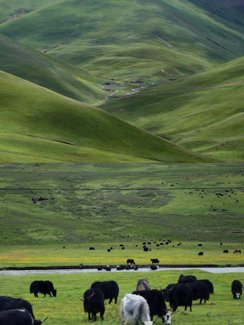 川西大环线❗️懒人版6天5晚旅游攻略