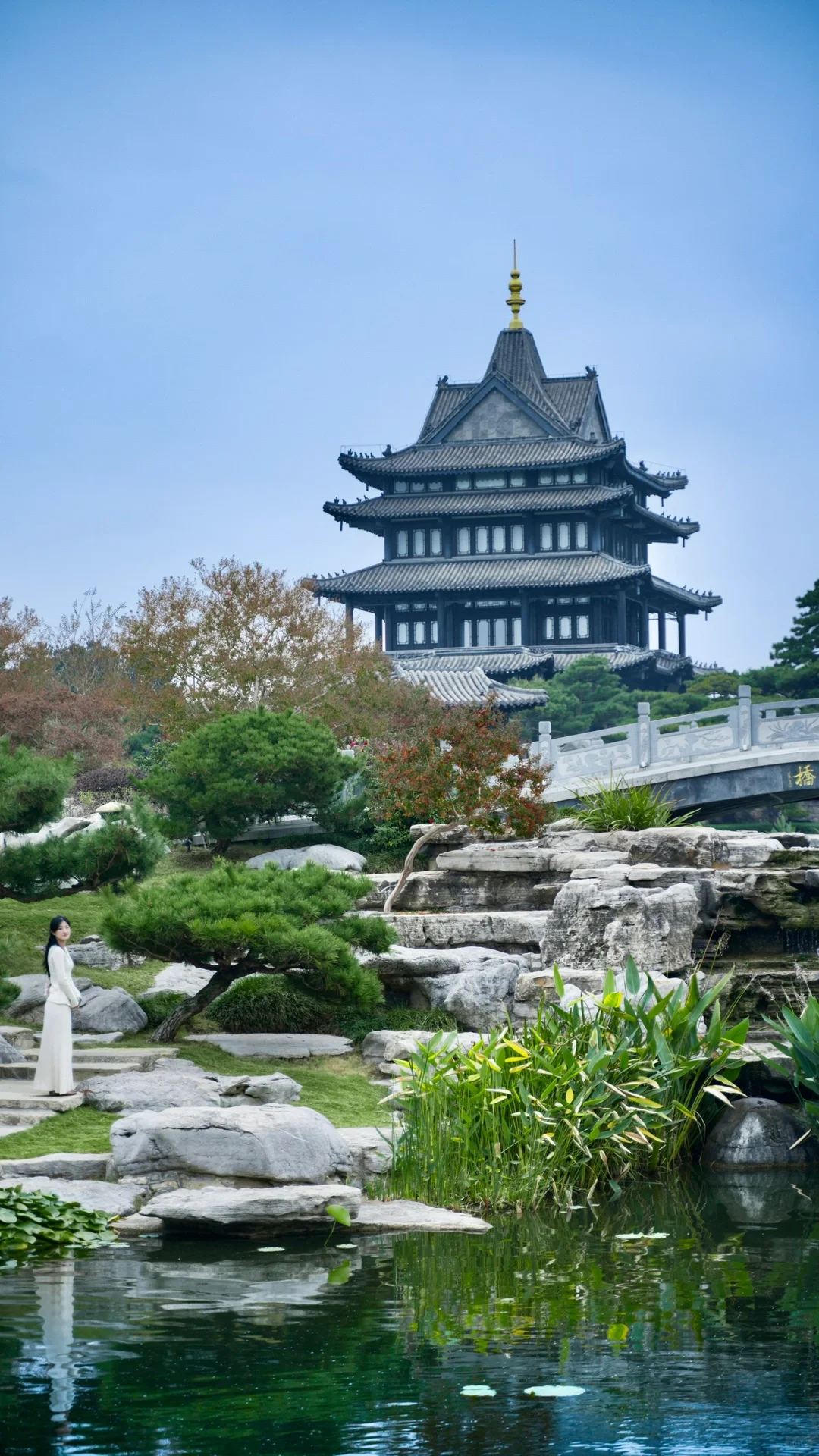 为了这18张图,我飞了趟山东临沂❗️❗️附机位