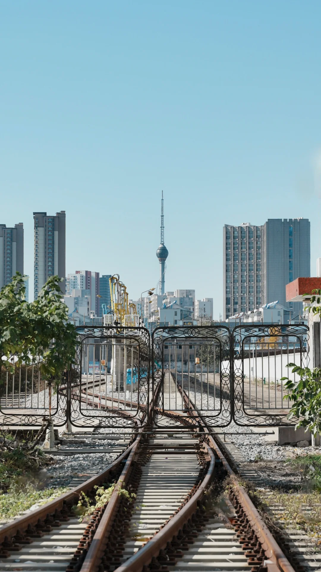 为了这18张图,我飞了趟山东临沂❗️❗️附机位