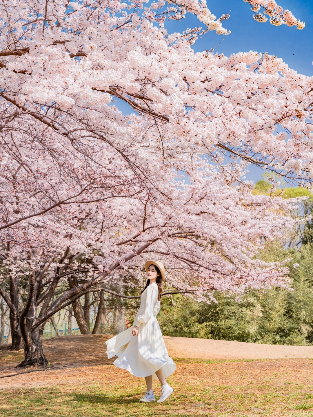 接下来的北京,比想象中还要美!