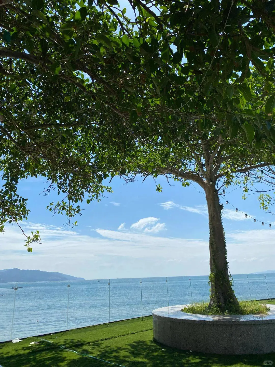 愿去深圳的姐妹都能刷到这篇❤️