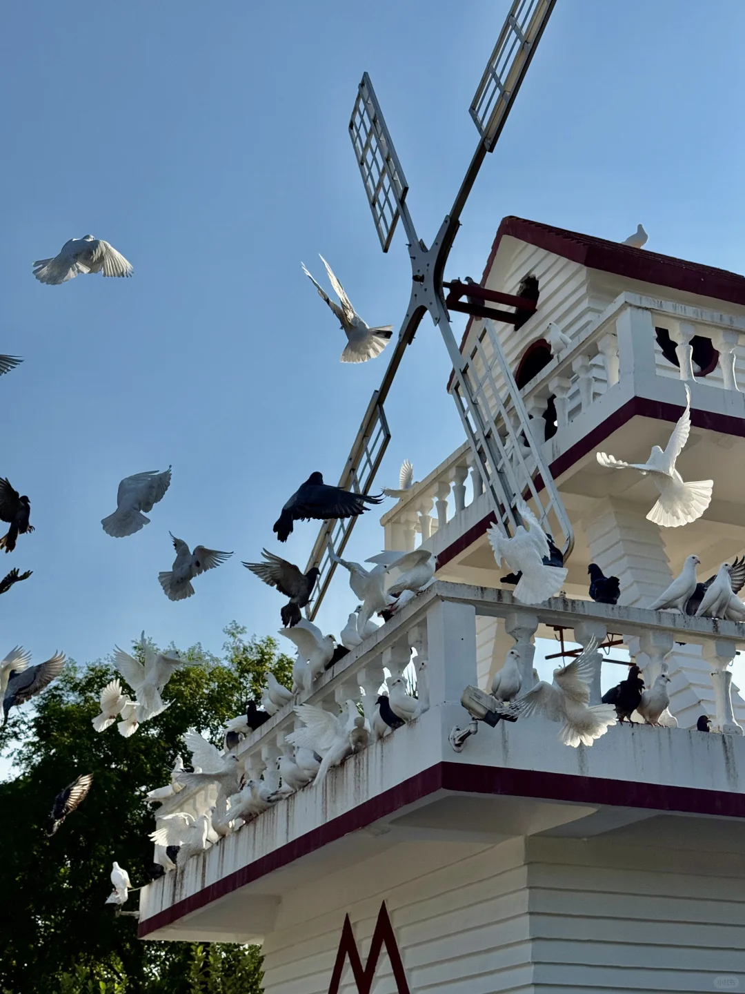 南京你真的赢麻了。。。