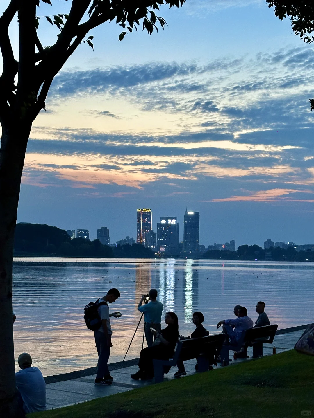 南京你真的赢麻了。。。