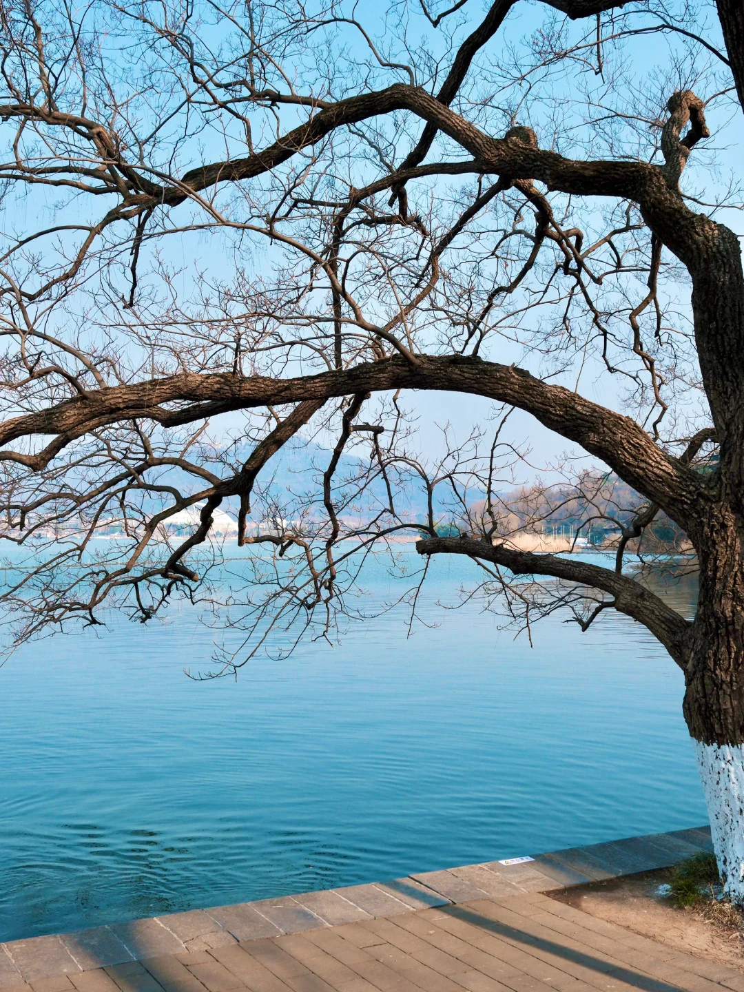 南京你真的赢麻了。。。