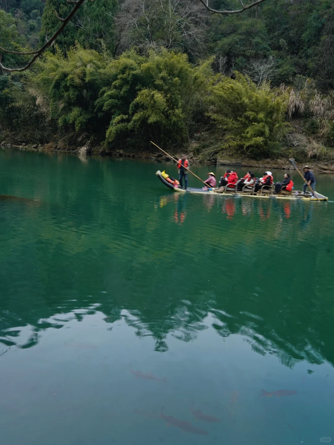 以为景德镇够美了，直到我去了武夷山
