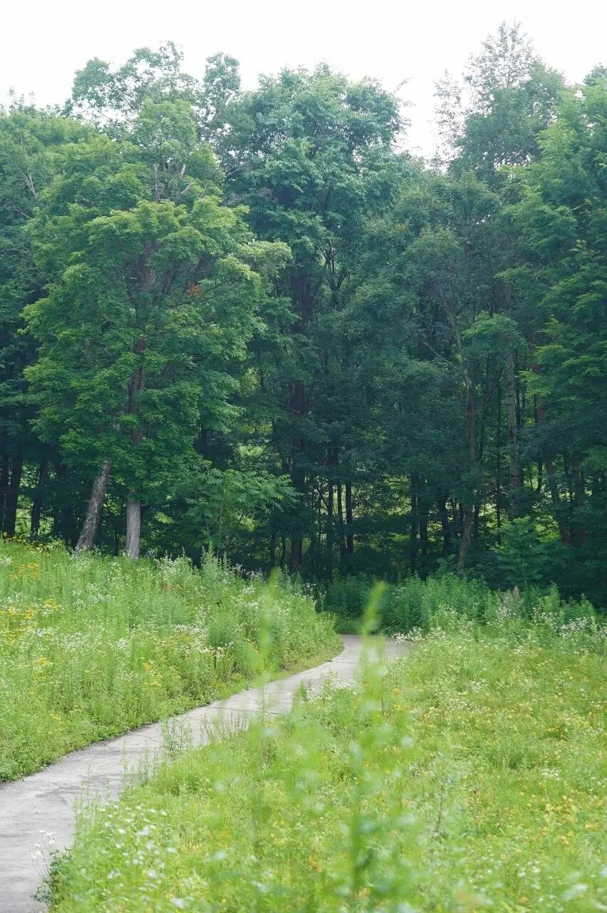 五一反向旅游成功❗️一个被低估的冷门城市