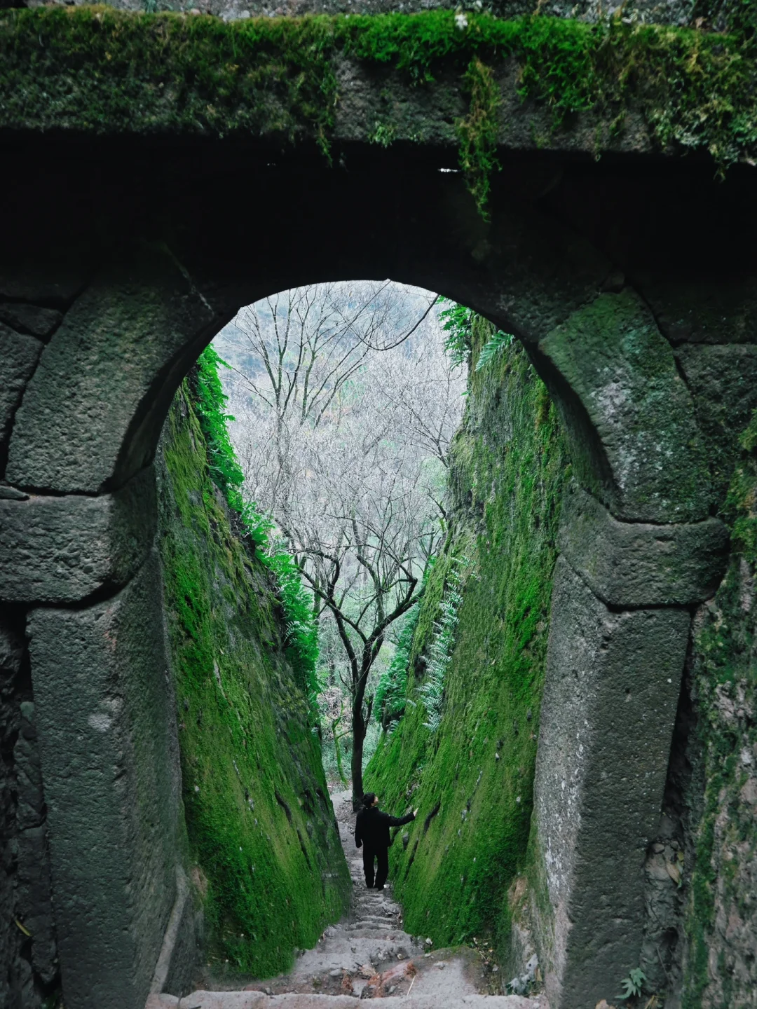 以为景德镇够美了，直到我去了武夷山