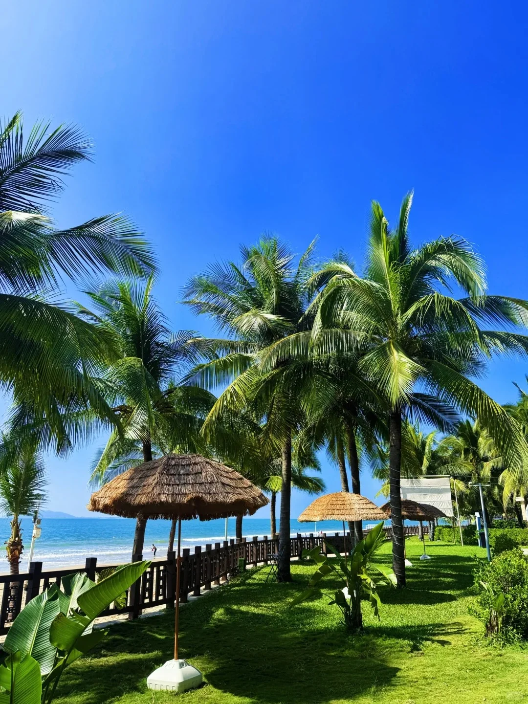 三亚景点、小吃、住宿攻略大全🌴🍲🏨