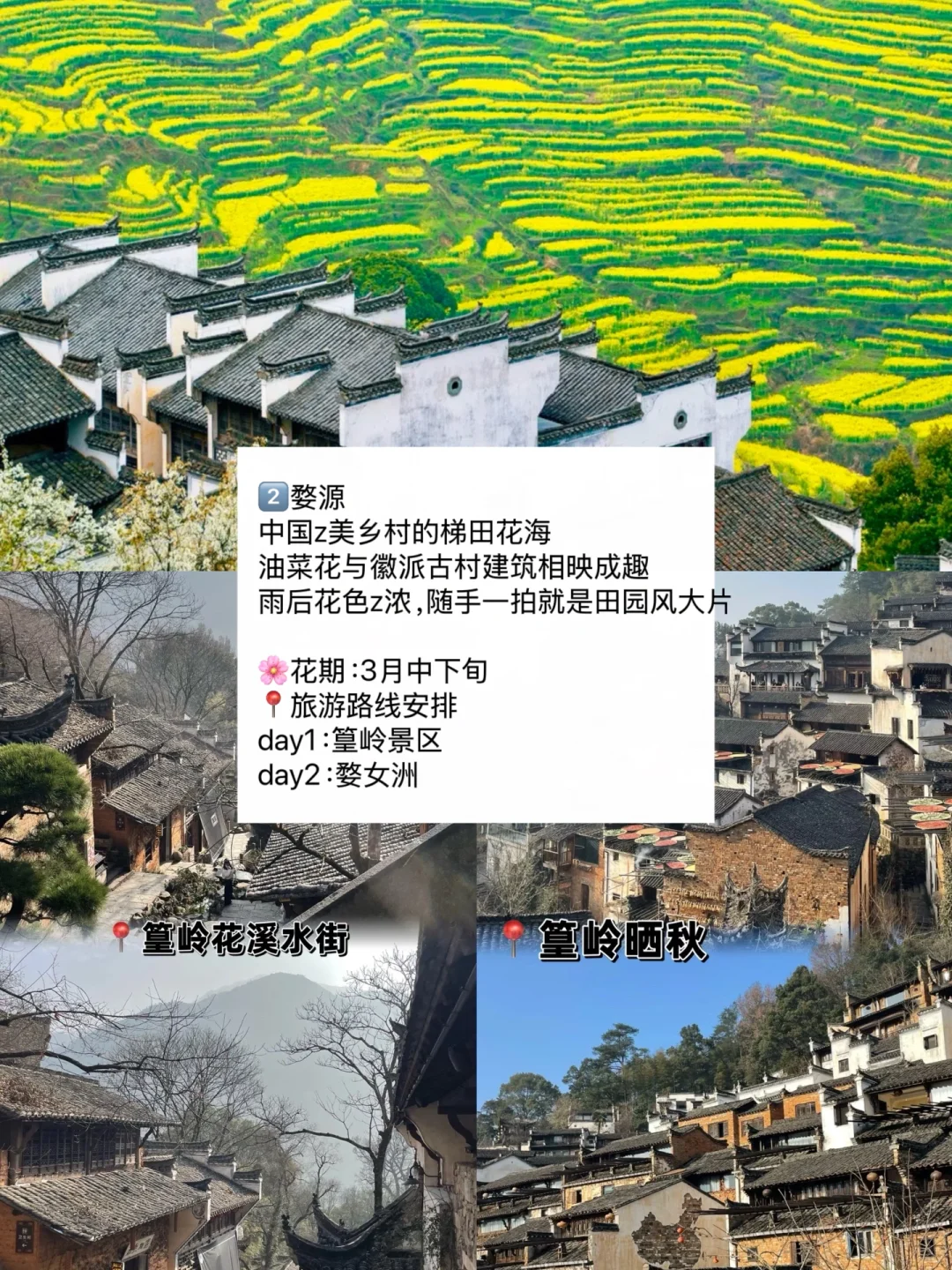 赏花慢游🌸适合3-4月春天旅游的九个城市