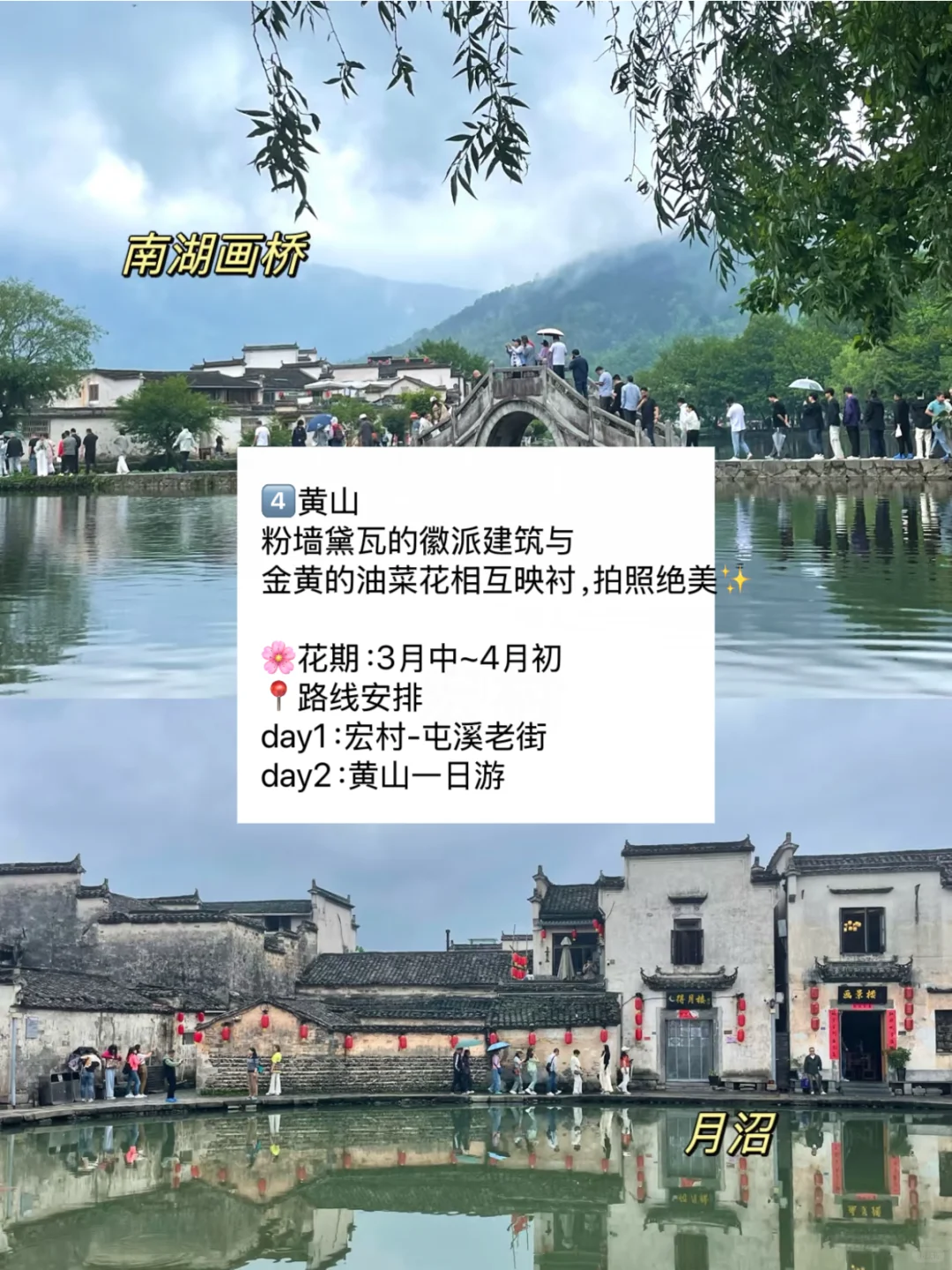 赏花慢游🌸适合3-4月春天旅游的九个城市