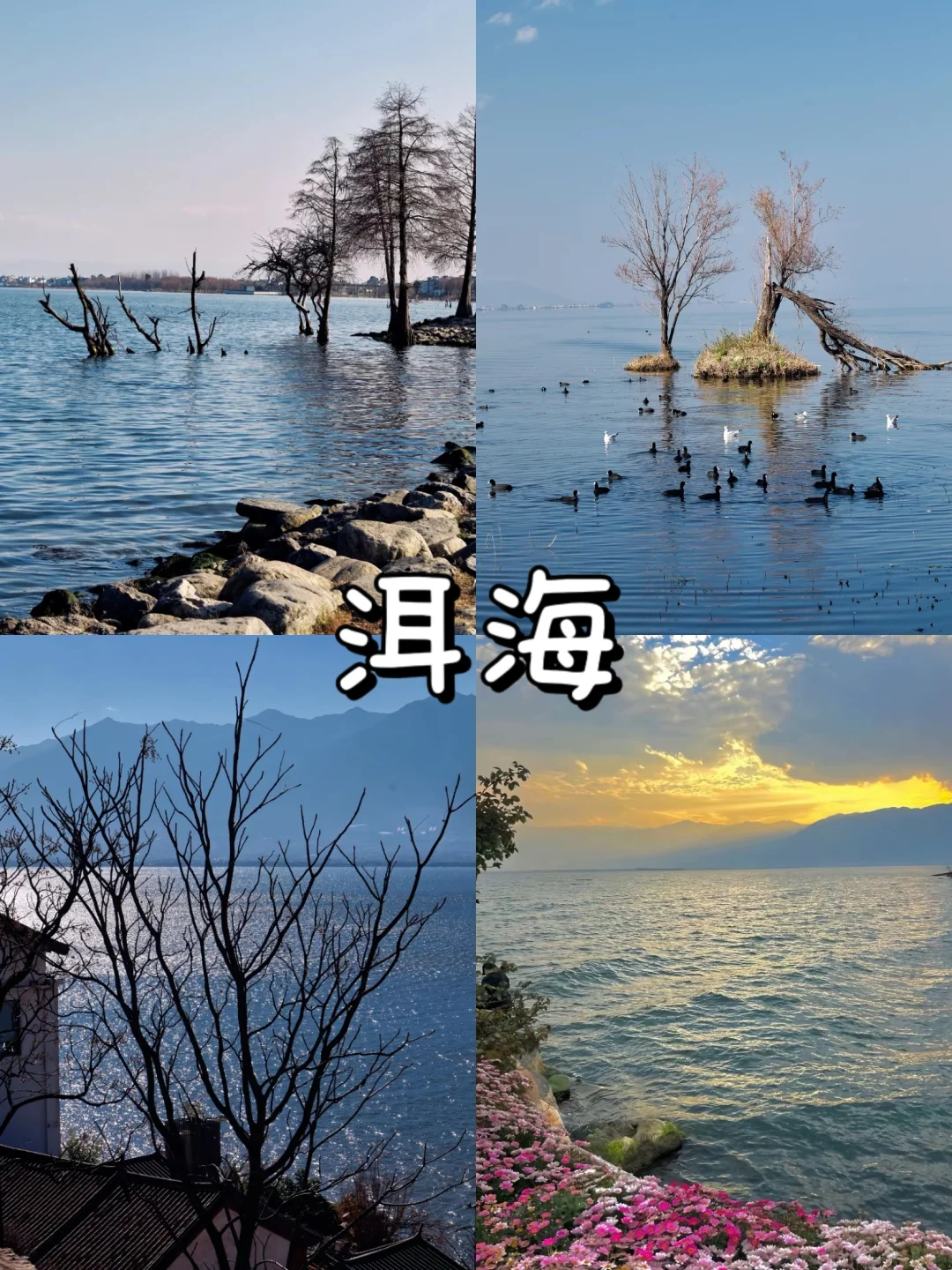 云南旅游攻略|9大必去景点🔥