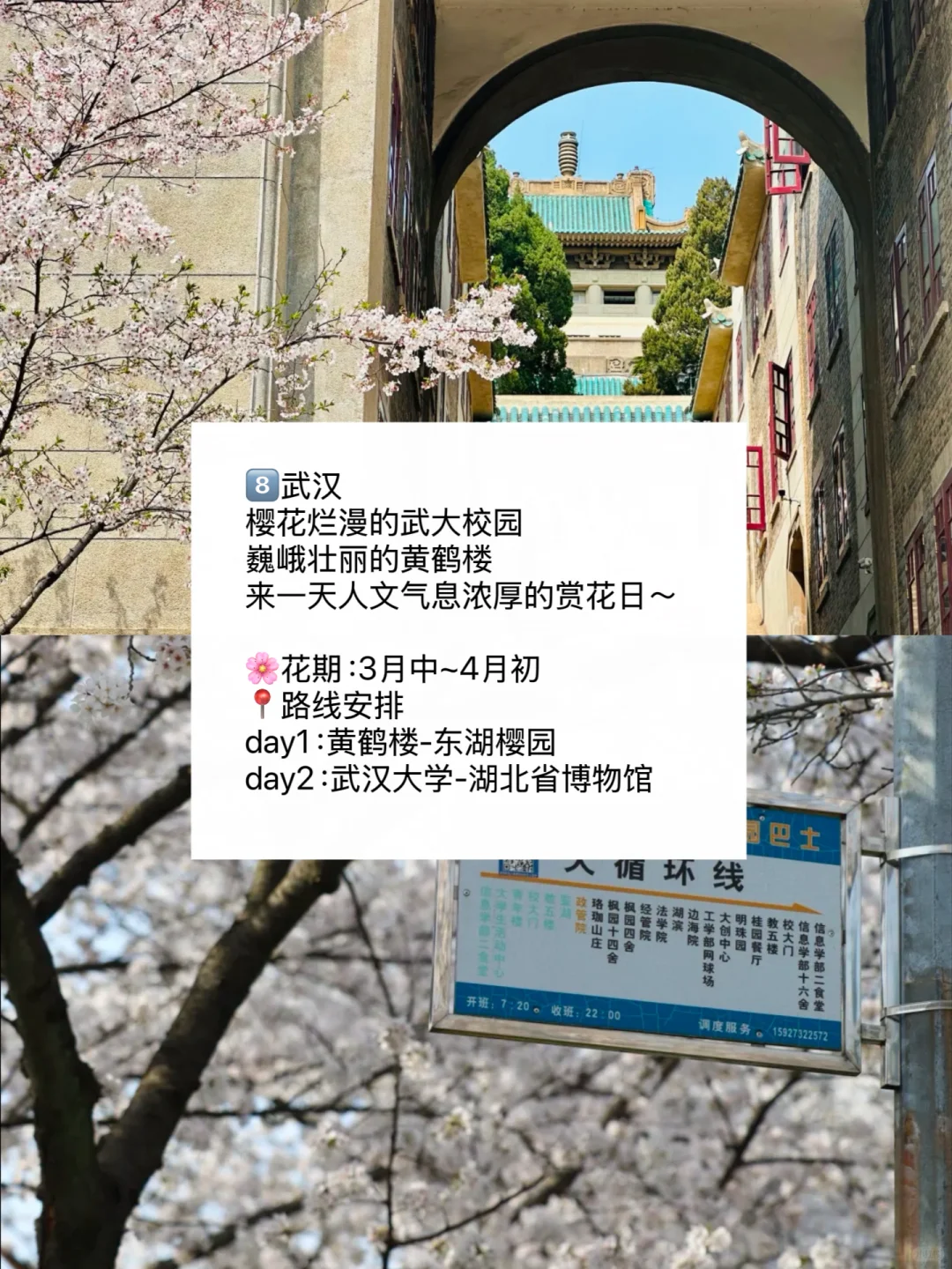 赏花慢游🌸适合3-4月春天旅游的九个城市