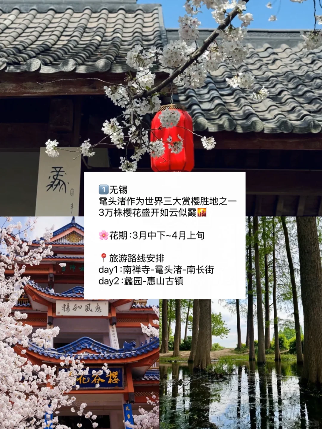 赏花慢游🌸适合3-4月春天旅游的九个城市
