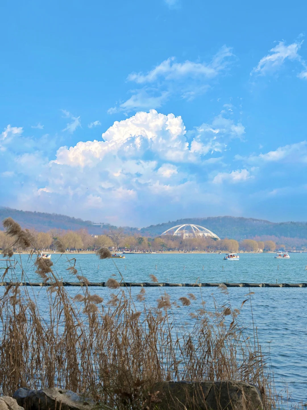 南京你真的赢麻了。。。