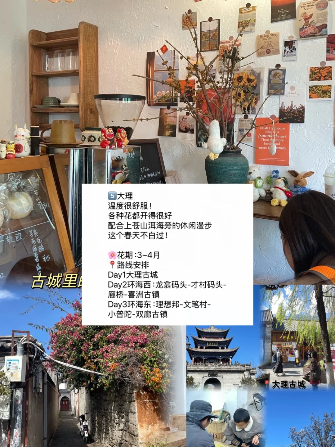 赏花慢游🌸适合3-4月春天旅游的九个城市