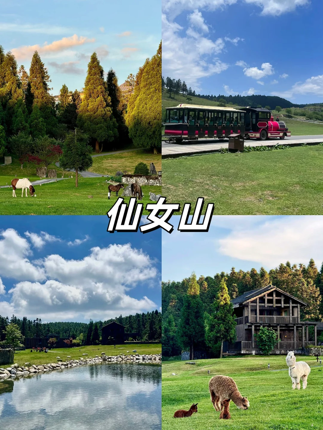 我后悔了😭才知道重庆藏着这些绝美胜地❗