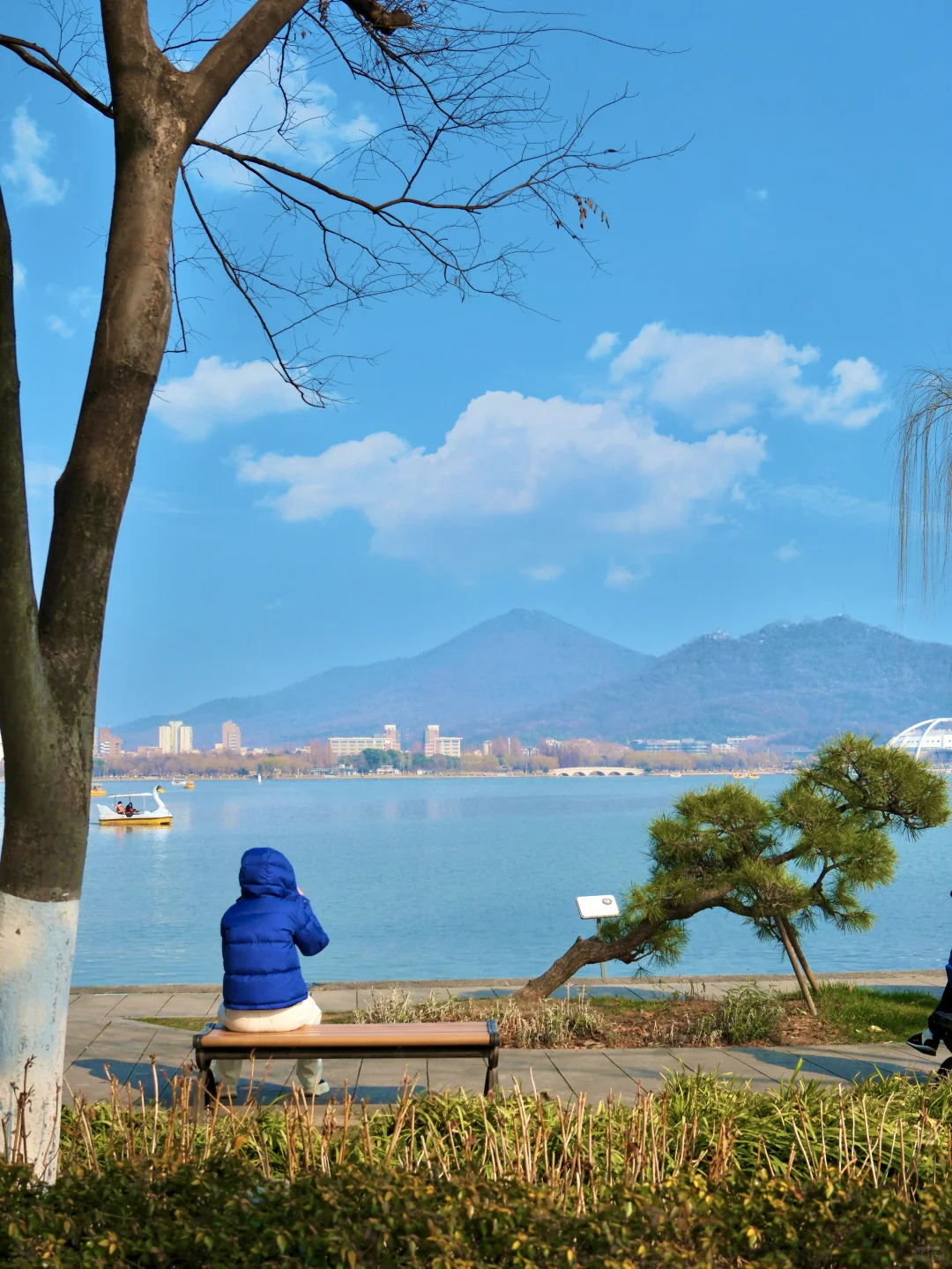 南京你真的赢麻了。。。