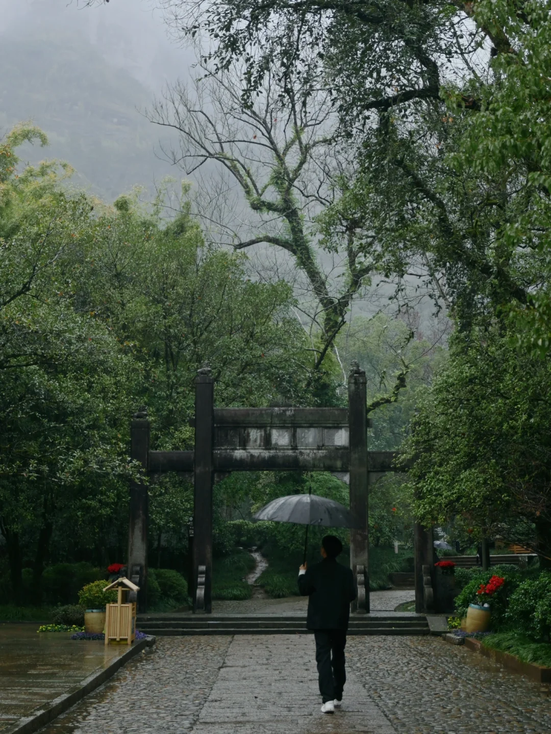 以为景德镇够美了，直到我去了武夷山