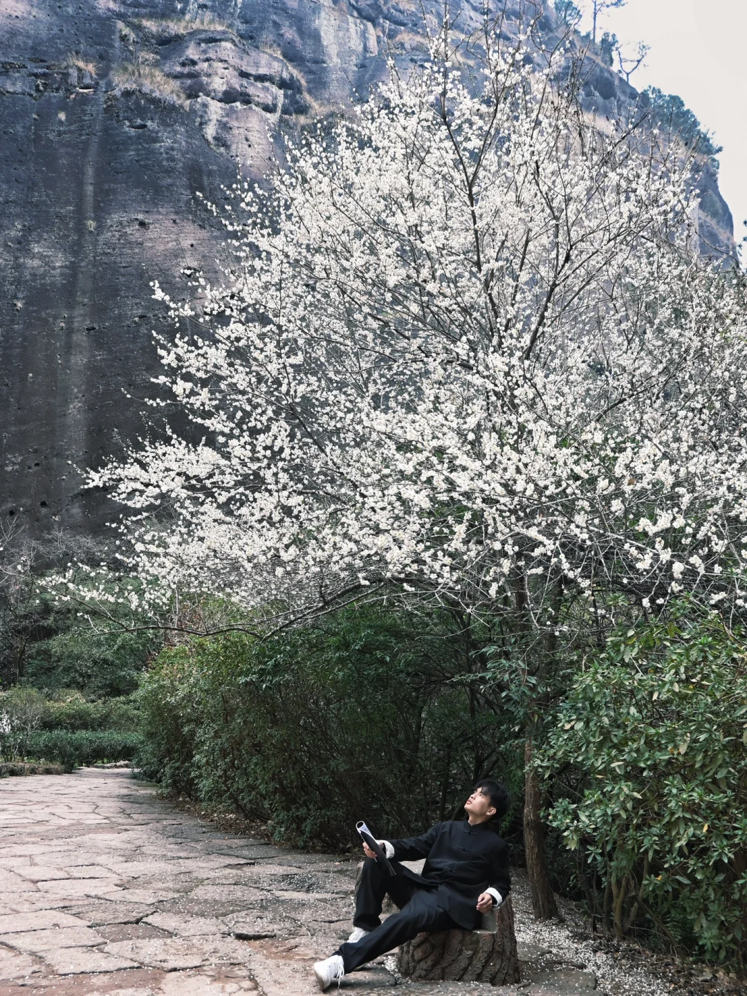 以为景德镇够美了，直到我去了武夷山