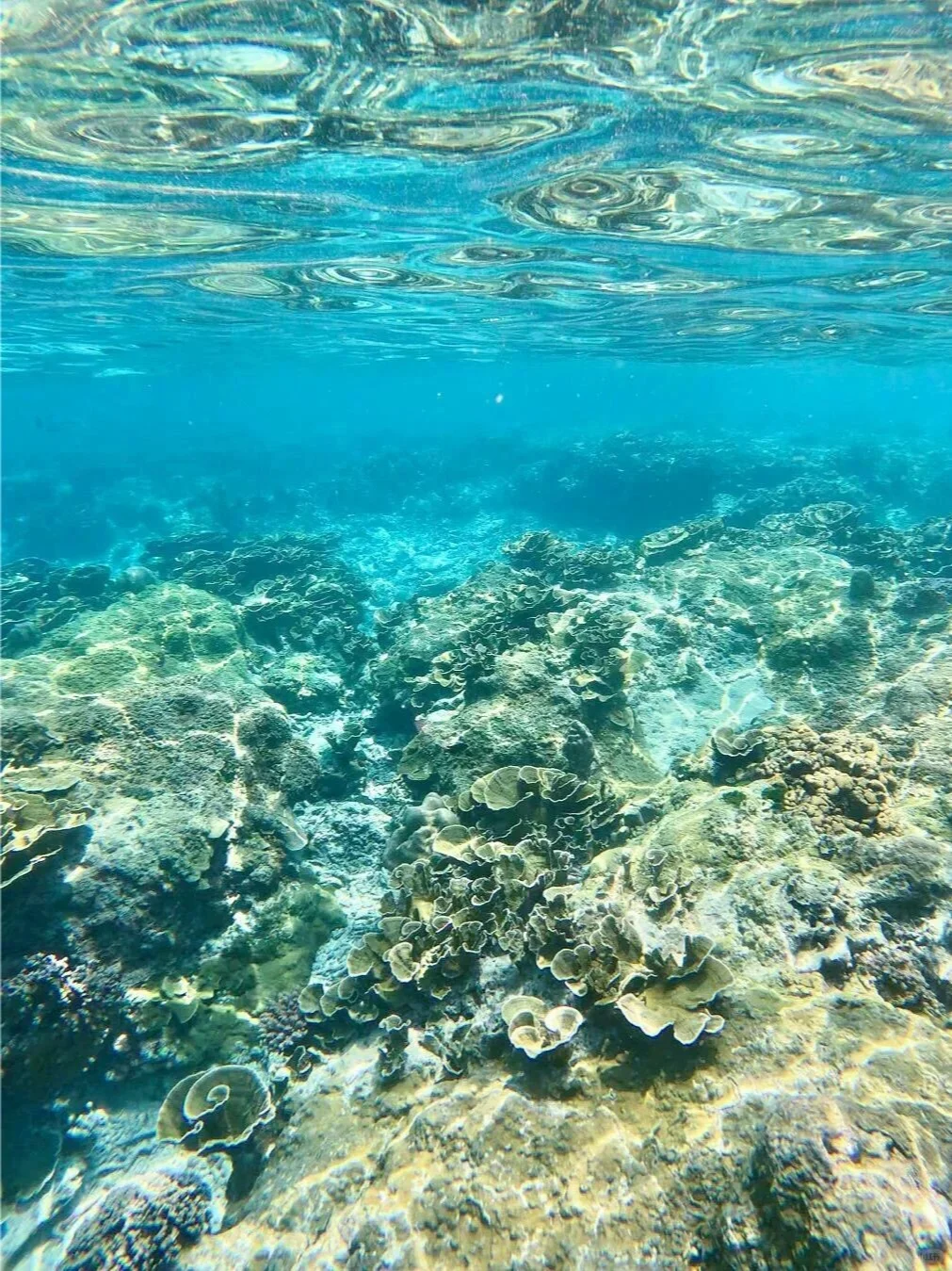 三亚景点、小吃、住宿攻略大全🌴🍲🏨