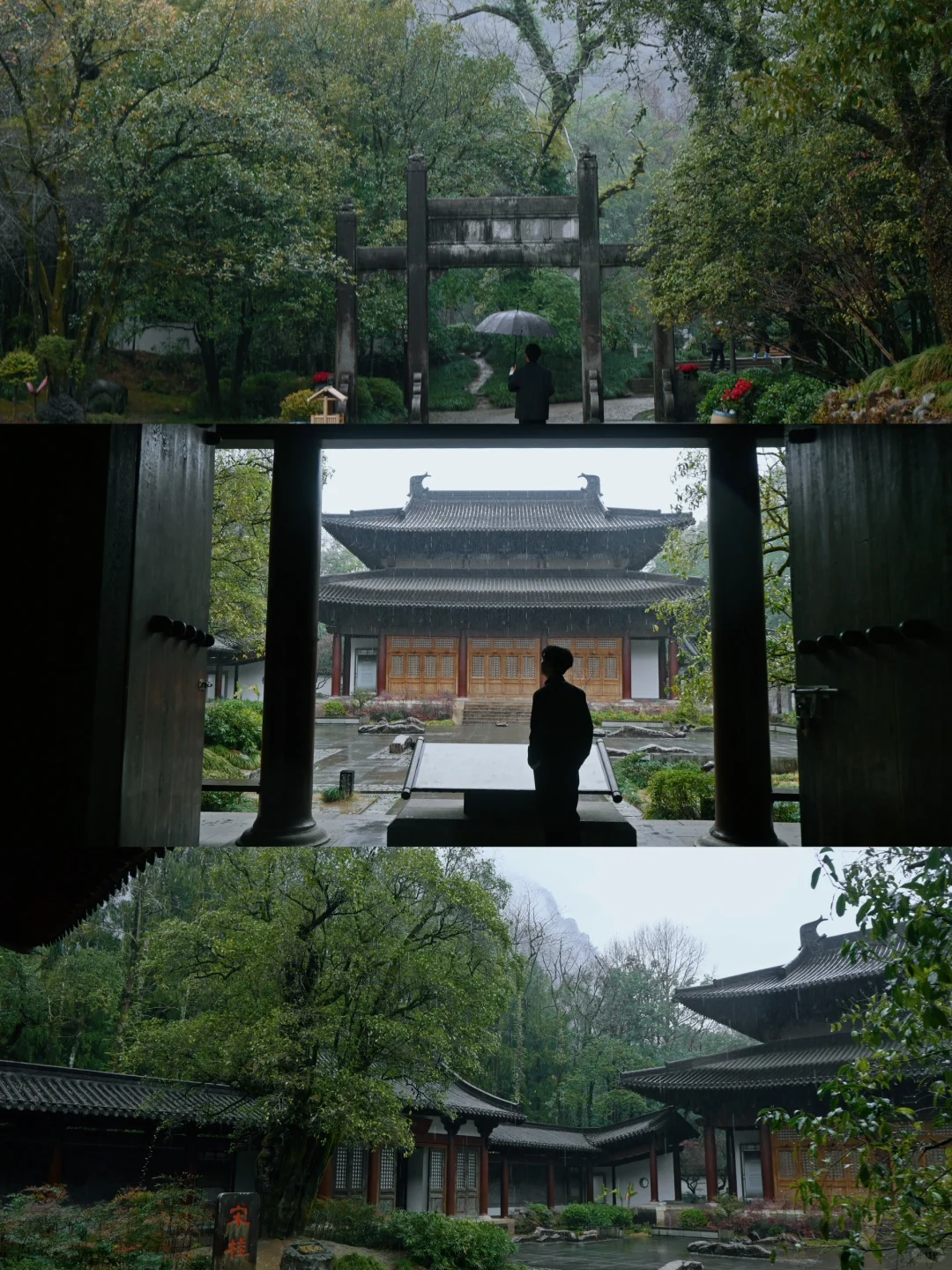 以为景德镇够美了，直到我去了武夷山