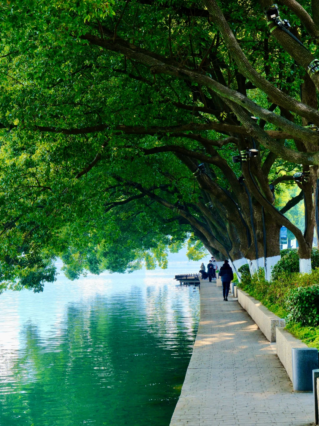 南京你真的赢麻了。。。