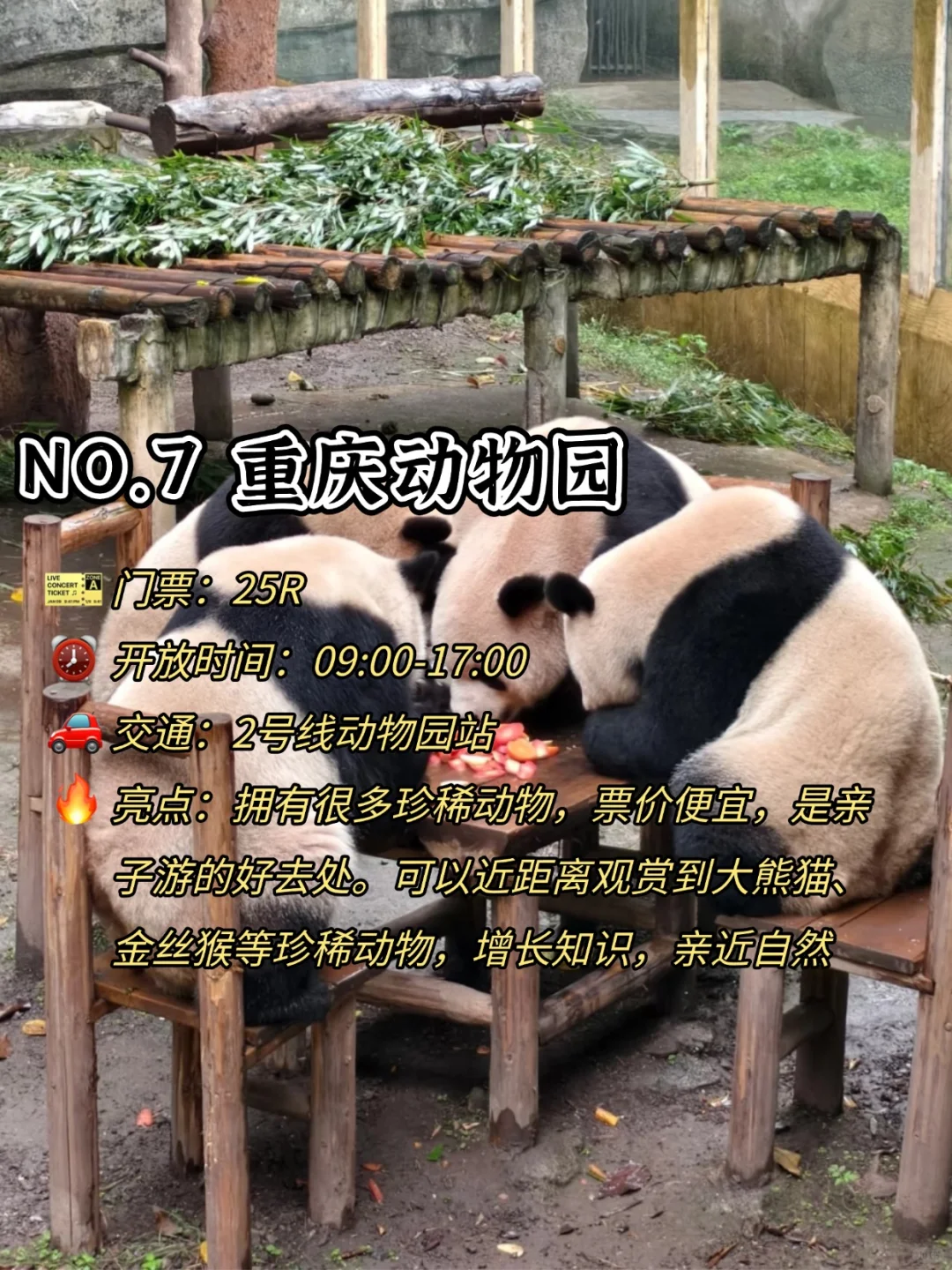 重庆旅游前必看👀必去的9大热门🔥景点