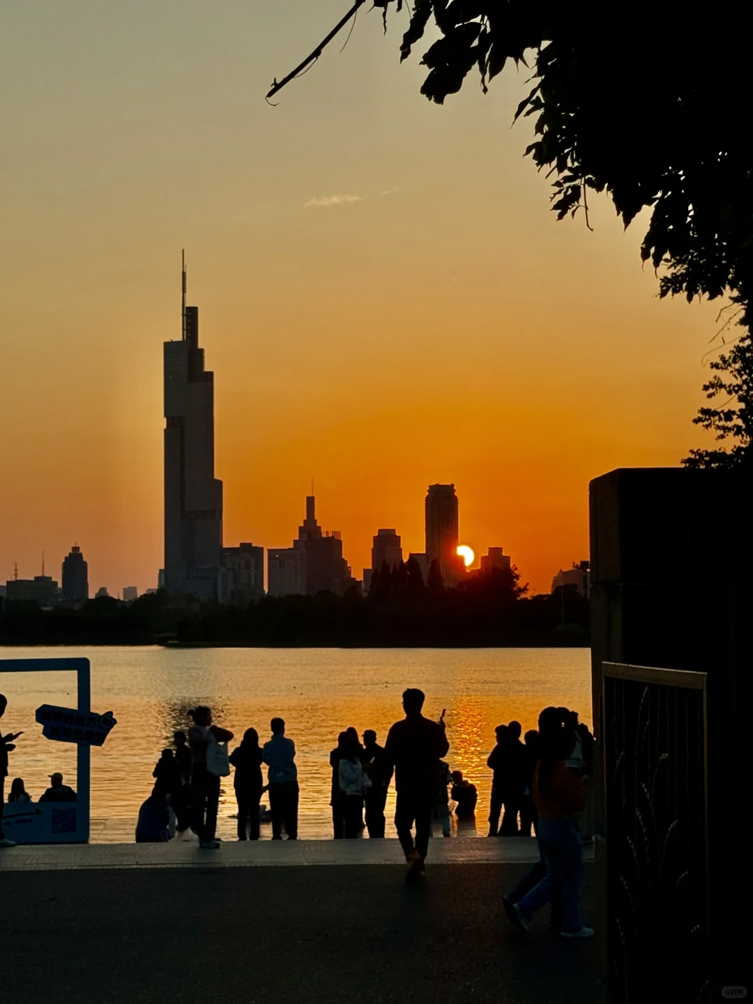 南京你真的赢麻了。。。