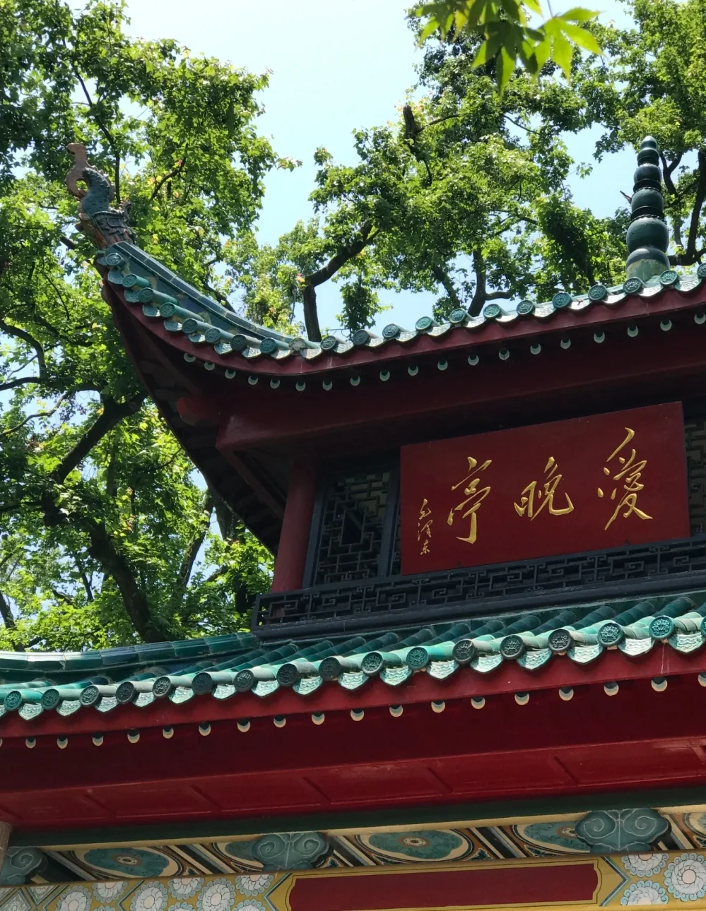 大美长沙，来了就不想走~