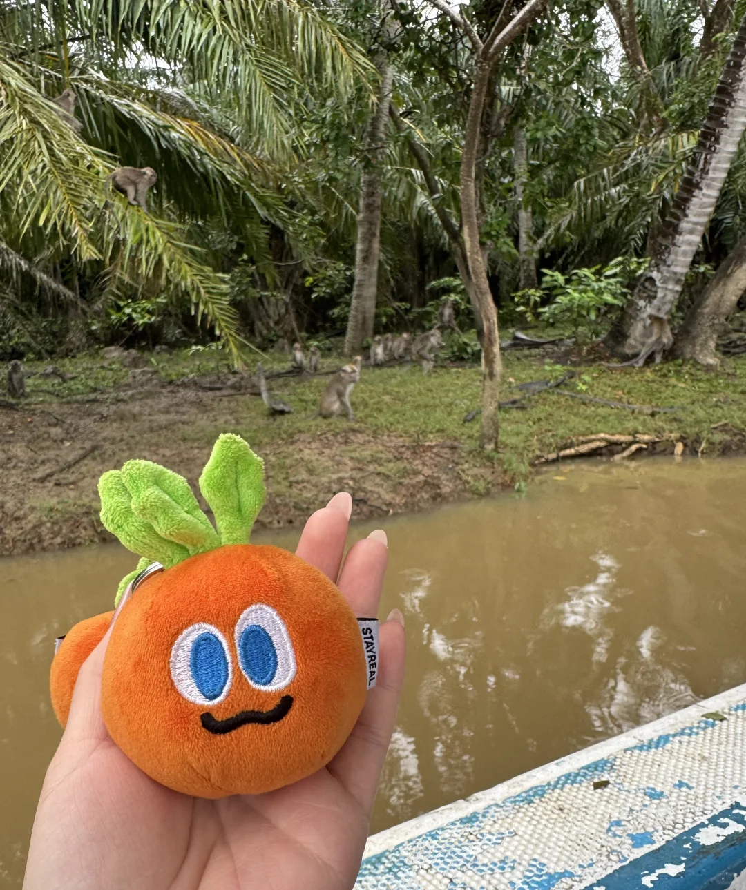 🌴亚庇第一天 🌿